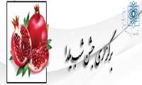 جشن روز دانشجو و شب یلدا در مجتمع سلامت ورامین برگزار شد